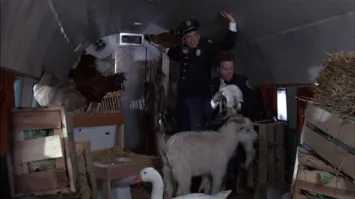 Вот ей бизнес-класс..