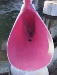 Таким хлебалом да медку испить!