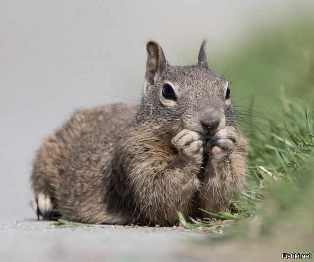 Солянка от 30.09.2025