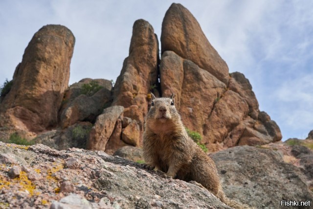 Солянка от 30.09.2025