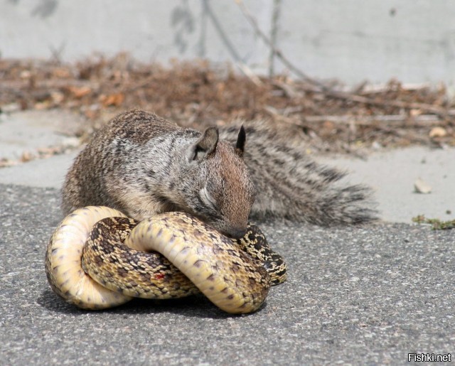 Солянка от 30.09.2025