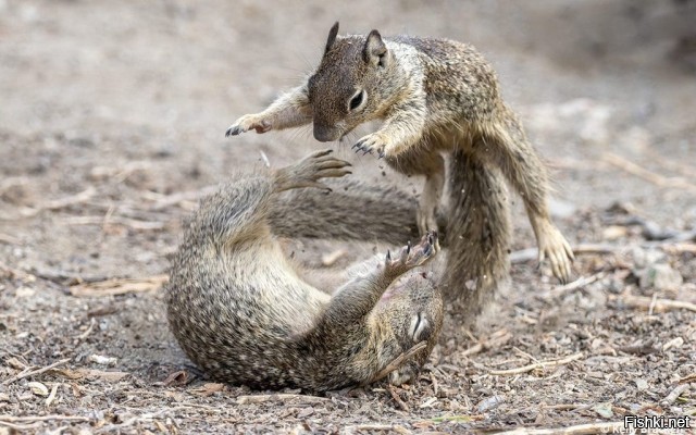 Солянка от 30.09.2025