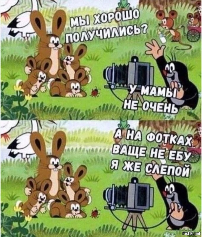 10 удивительных фактов со всего света из разных областей знаний