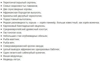 15 созданий природы, в существование которых верится с трудом