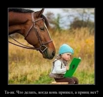 Не ищите здесь смысл. Здесь в основном маразм