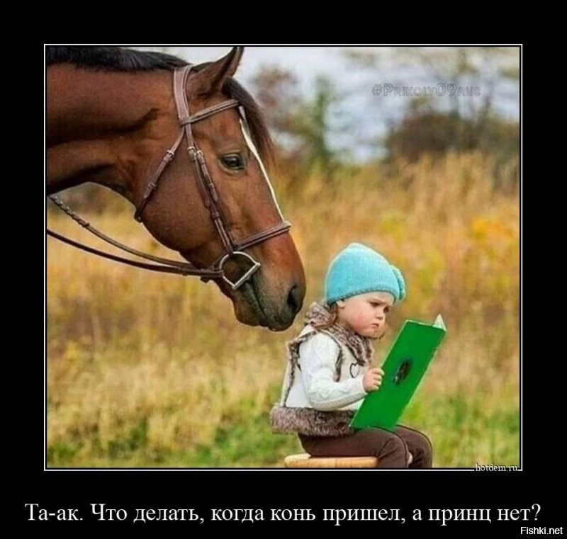 Не ищите здесь смысл. Здесь в основном маразм