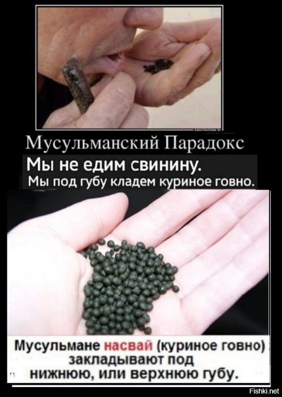 Что такое насвай и откуда он взялся