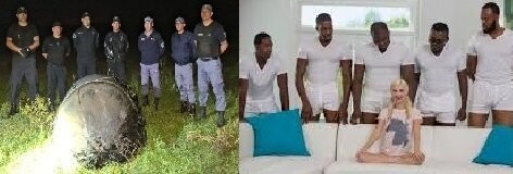 В Аргентине неопознанный мохнатый объект упал на ферму