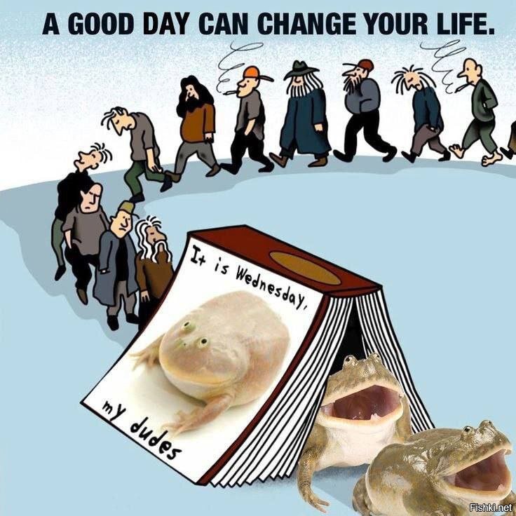 Солянка от 01.10.2025