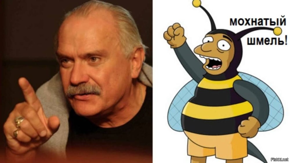 Жоппка уставшего шмеля