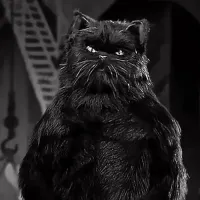 Бантик, случайно, не Кот Бегемот?