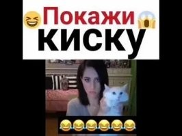 Девушки говорят, что парней обычно кошки интересуют