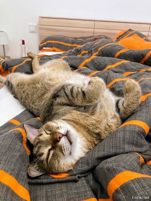 Солянка от 30.09.2025