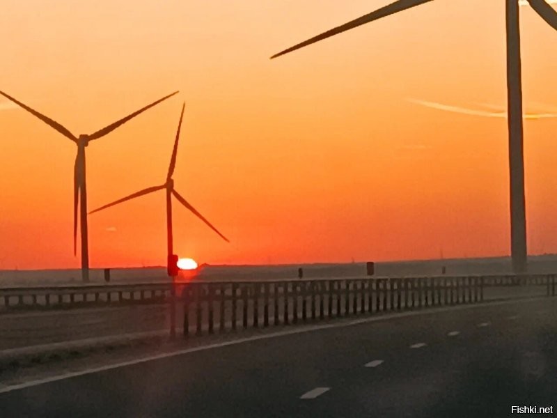 Мои фото, на ходу из машины.