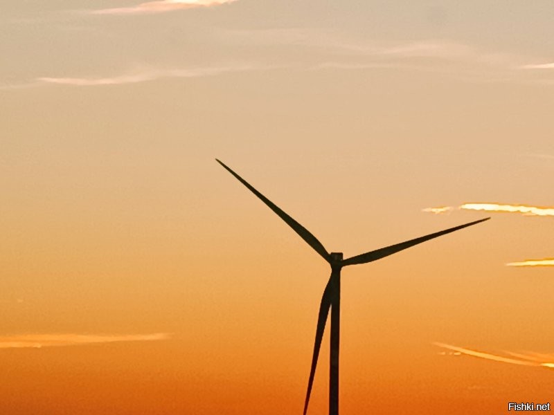 Мои фото, на ходу из машины.