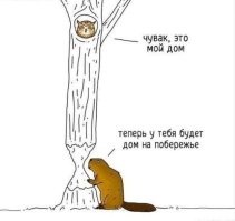 Скрины из соцсетей 