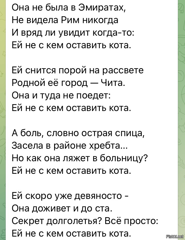 Старушка Яна дремлет в последних тёплых лучах осеннего солнышка