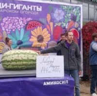 А вдруг ты не знал…