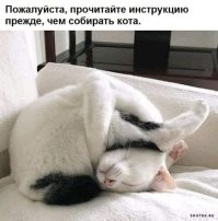 В коллекцию!