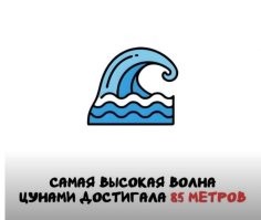 Самая высокая зарегистрированная волна цунами достигла 524 метров и произошла в бухте Литуйя, Аляска, 9 июля 1958 года. Эта гигантская волна была вызвана оползнем из-за землетрясения, когда около 30 миллионов кубометров камней и льда обрушились в воду, образовав огромный всплеск.
