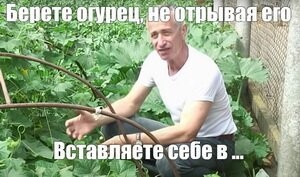 огурец здорового мужика?)