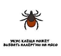 На мясо клеща.