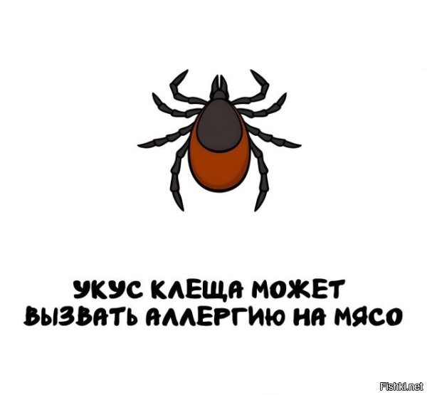На мясо клеща.