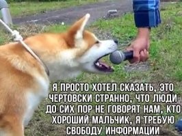 Скрины из соцсетей 
