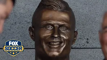 Провал со статуей Тины Тернер: в соцсетях возмутились испорченным памятником легенде за $150 тысяч