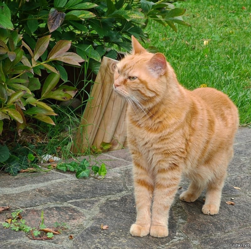 Доброе утро