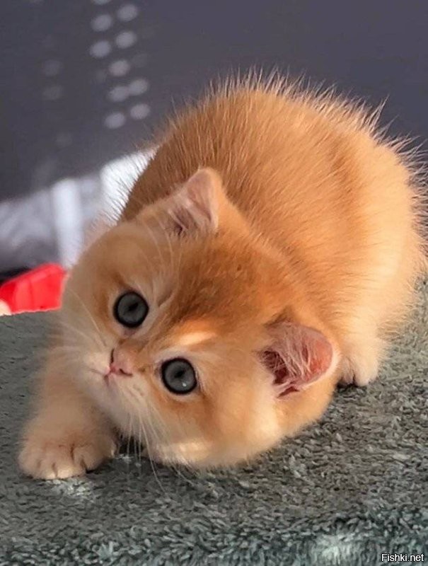 Доброе утро