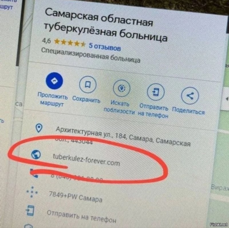Жители Ростовской области пожаловались на название официальной почты главы района