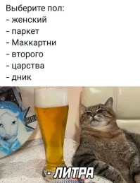 Кошка-сомелье