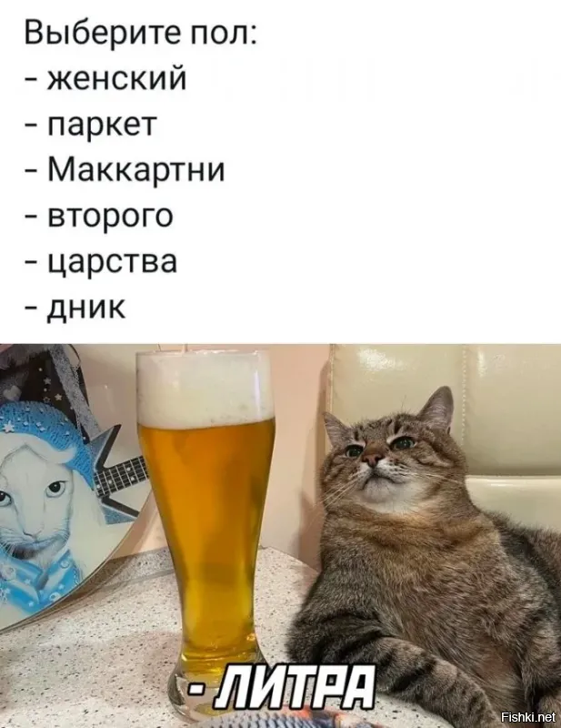 Кошка-сомелье