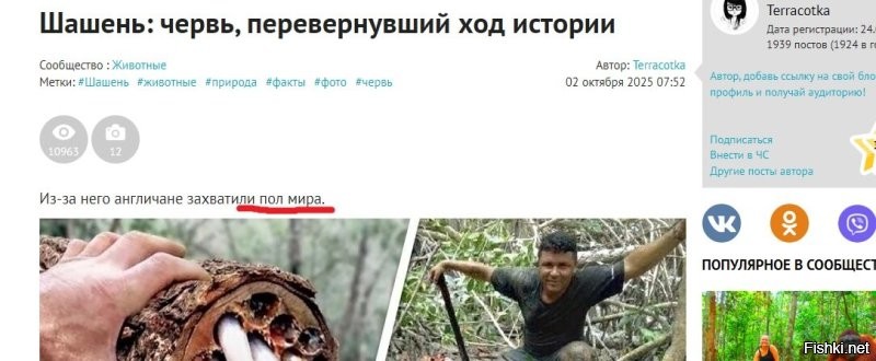Шашень: червь, перевернувший ход истории