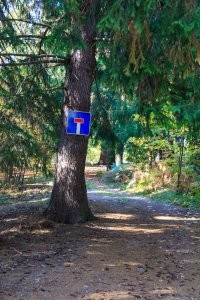 15 загадочных случаев, когда люди находили в лесу вещи и задавались вопросом «откуда они там взялись?»