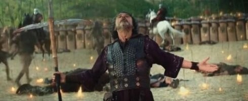 Удивлённый гусь залип на град и получил по клюву