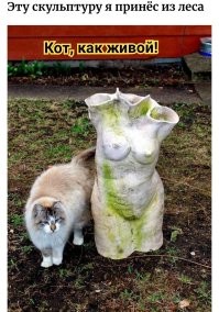 15 загадочных случаев, когда люди находили в лесу вещи и задавались вопросом «откуда они там взялись?»