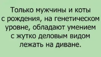 Бытовая слепота или тонкий троллинг: пользователи обсудили инцидент с кашей-невидимкой, но так и не пришли к единому мнению