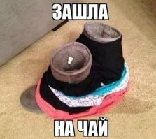 Скрины из соцсетей