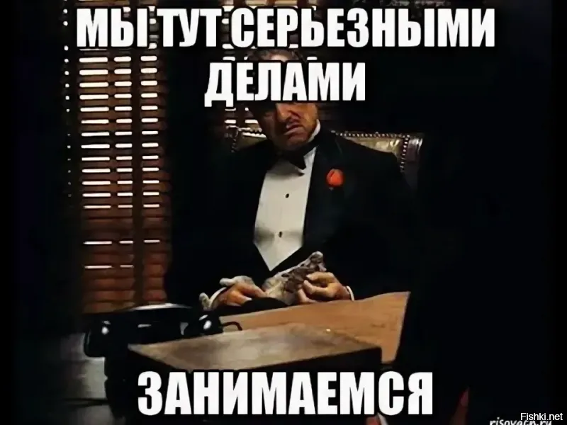 Не давайте своим домашним питомцам залипать в гаджетах