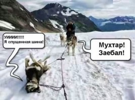 Всё вразнобой&nbsp;