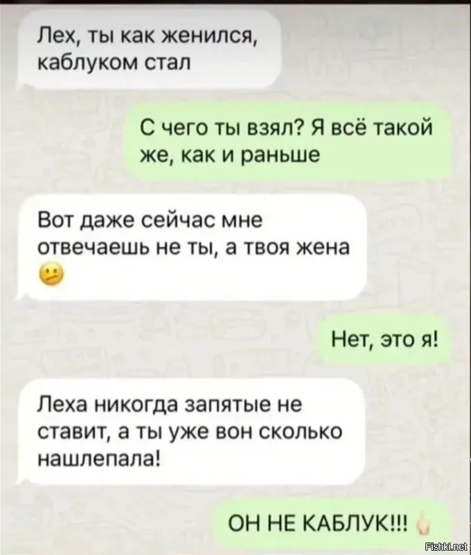 Как понять, что собаку били