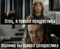 Боромир привёл бы четвертьрослика