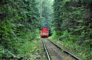 Я думал это у нас