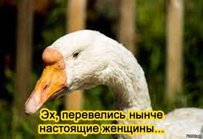 Мужчины и стандарты: наблюдения женщины из России