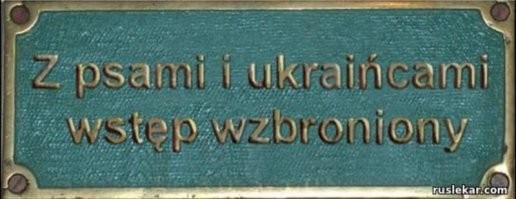 Уроки от хозяев усвоили?  ))