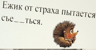 Обзор на все виды ежей на территории России