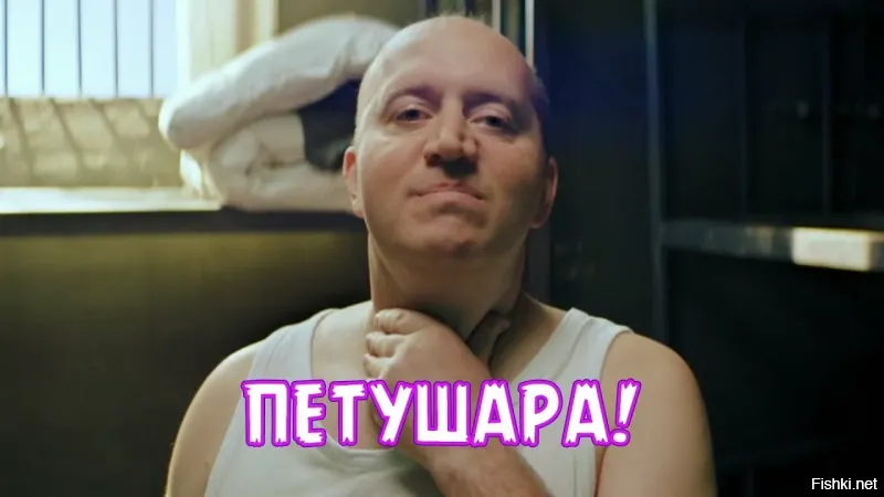 "Разве это Гарвард? Это цирк!": старейший американский вуз пригласил преподавать представительницу ЛГБТ* с пошлым прозвищем