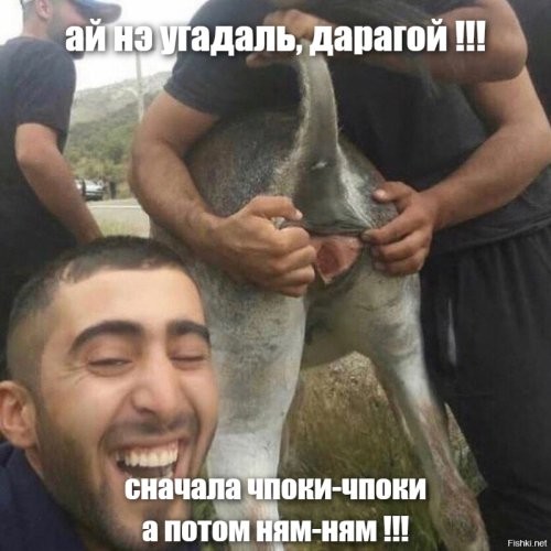«Мы здесь обедаем»: ярославские любители баранины разделывали туши у православного храма